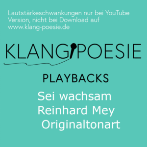 Sei wachsam Reinhard Mey Piano playback Karaoke Instrumental
